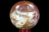 Colorful, Petrified Wood Sphere - Madagascar #98461-1